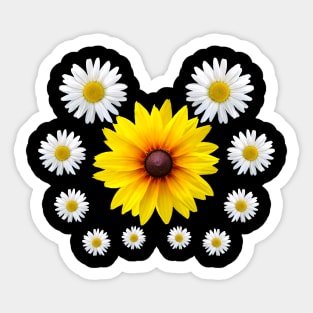 coneflower flower daisies coneflowers daisy blooms floral Sticker